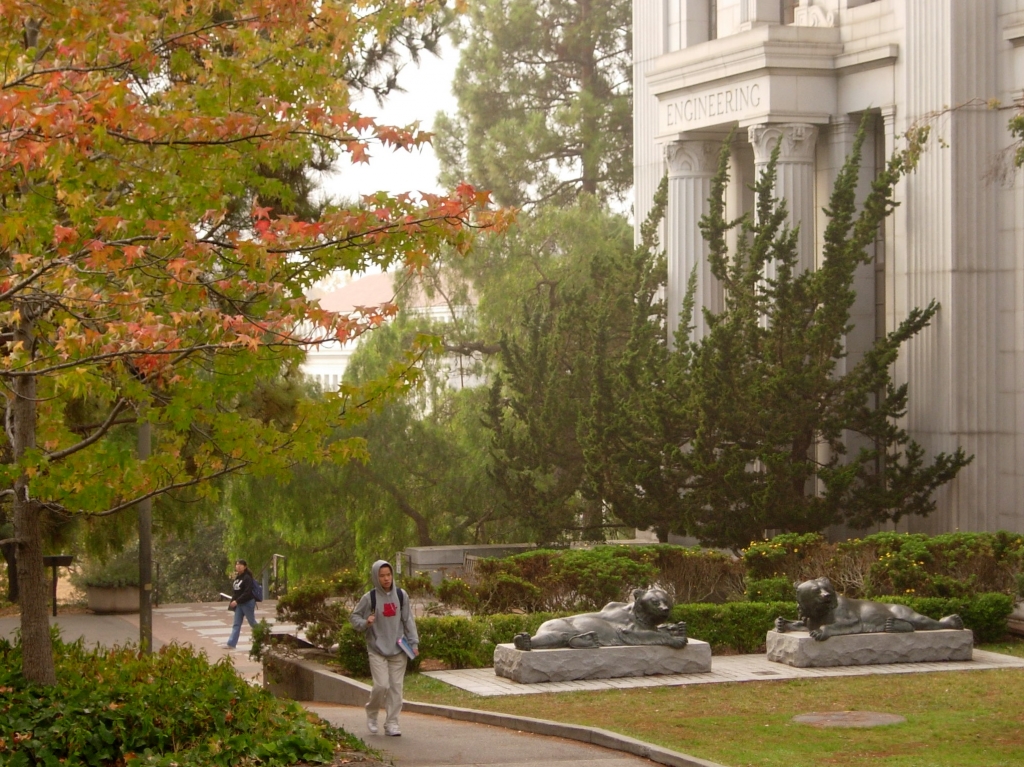 student and bears