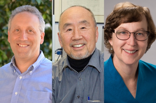 Berkeley 2018 AAAS Fellows: Allen Goldstein, Sung-Hou Kim, Katherine Yelick