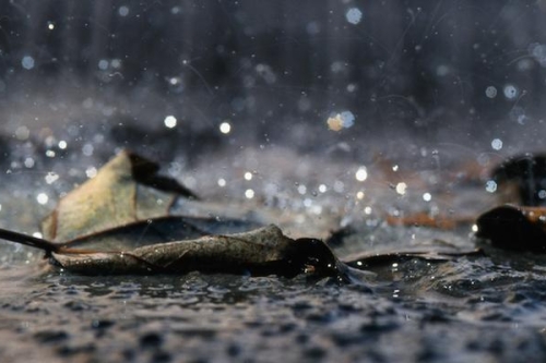 Rain hitting dry leaf