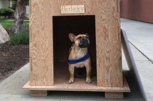 MidPac Sustainable Solutions Challenge:  Dog House